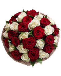 bouquet of chrysanthemums and gerberas