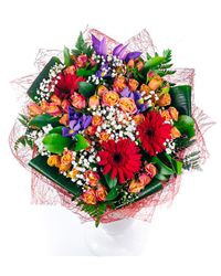 irises gerberas and roses
